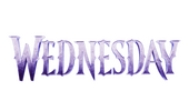 Wednesday - Figurki i Gadżety