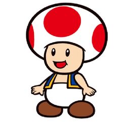 Poduszka Super Mario Bros 3D - Toad