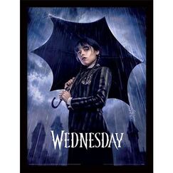 Plakat Wednesday - Downpour