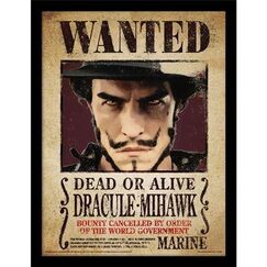 Plakat One Piece Netflix - Dracule Mihawk 30x40cm