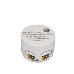 Pojemnik ceramiczny Harry Potter - Hedwig