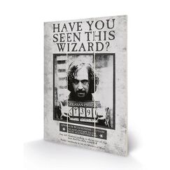 Nadruk na drewnie Harry Potter - Sirius Wanted Wood Print 20x29.5cm