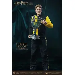 Figurka Harry Potter 1/6 - Cedric Diggory