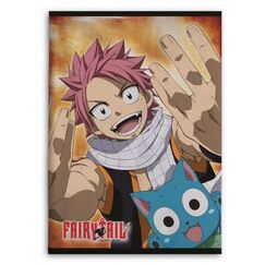 Koc z polaru Fairy Tail - Natsu i Happy (100 x 140 cm)