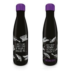 Butelka metalowa Wednesday (540 ml)
