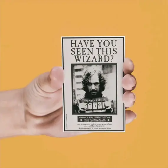 Magnesy soczewkowe Harry Potter (4 szt.)- Zdjęcie 2