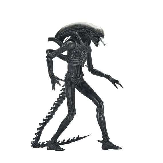 Figurka Obcy: Romulus - Ultimate Xenomorph XX121- Zdjęcie 3