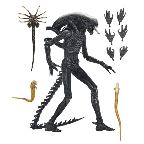 Figurka Obcy: Romulus - Ultimate Xenomorph XX121- Zdjęcie 6
