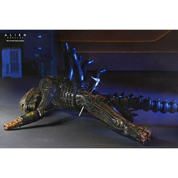 Figurka Obcy: Romulus - Deluxe Suspended Lab Xenomorph XX121- Zdjęcie 29
