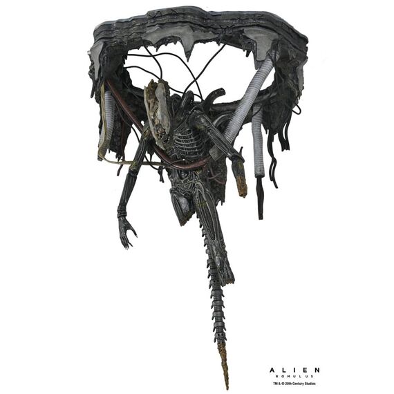 Figurka Obcy: Romulus - Deluxe Suspended Lab Xenomorph XX121- Zdjęcie 6