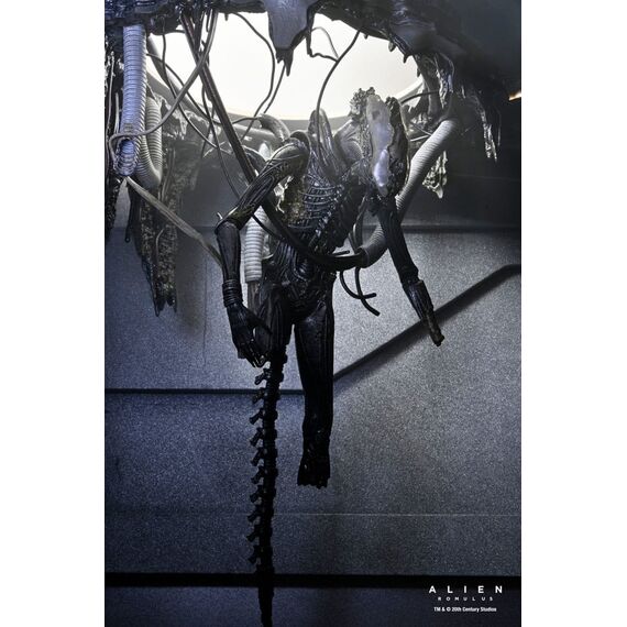 Figurka Obcy: Romulus - Deluxe Suspended Lab Xenomorph XX121- Zdjęcie 17