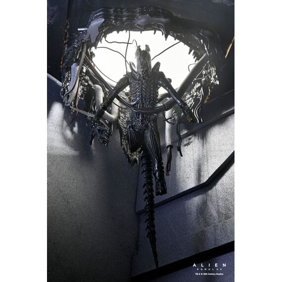 Figurka Obcy: Romulus - Deluxe Suspended Lab Xenomorph XX121- Zdjęcie 19