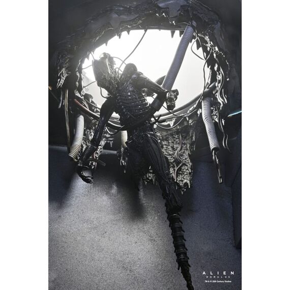 Figurka Obcy: Romulus - Deluxe Suspended Lab Xenomorph XX121- Zdjęcie 25