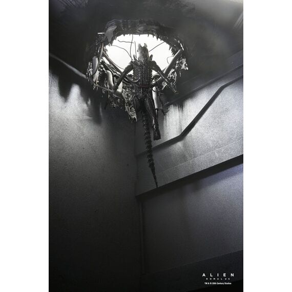 Figurka Obcy: Romulus - Deluxe Suspended Lab Xenomorph XX121- Zdjęcie 13