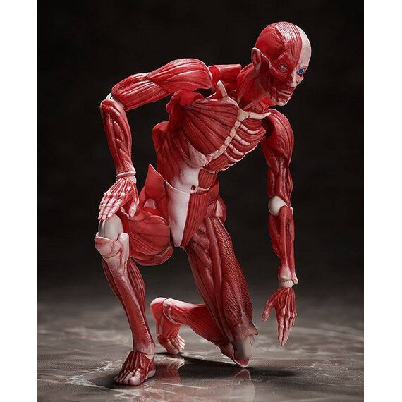 Figurka Original Character Figma - Human Anatomical Model- Zdjęcie 6