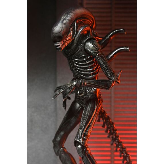 Figurka Obcy: Romulus - Ultimate Xenomorph XX121- Zdjęcie 9