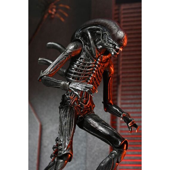 Figurka Obcy: Romulus - Ultimate Xenomorph XX121- Zdjęcie 13