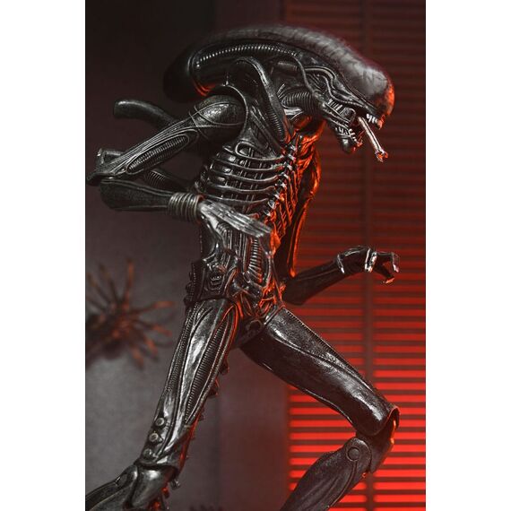 Figurka Obcy: Romulus - Ultimate Xenomorph XX121- Zdjęcie 19