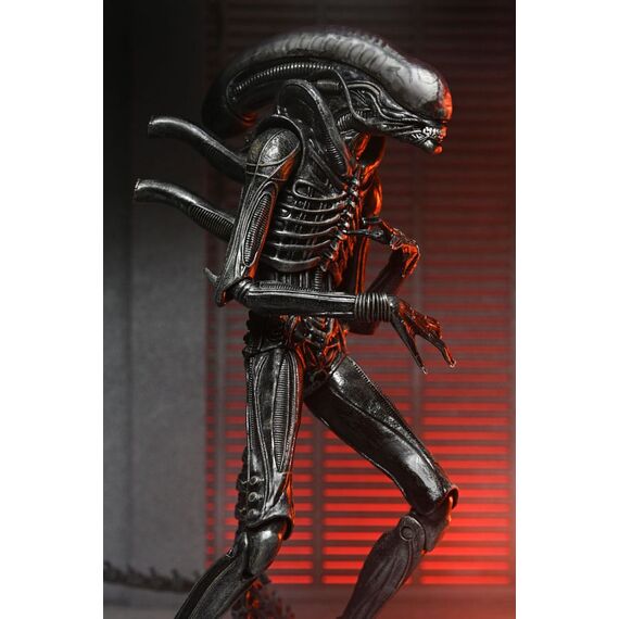 Figurka Obcy: Romulus - Ultimate Xenomorph XX121- Zdjęcie 31