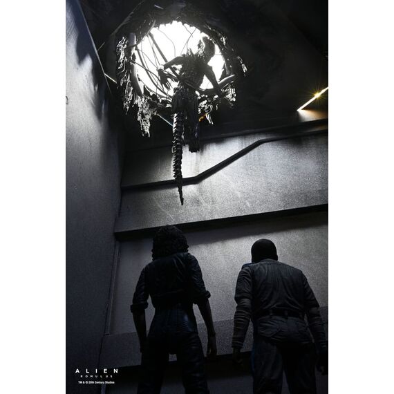 Figurka Obcy: Romulus - Deluxe Suspended Lab Xenomorph XX121- Zdjęcie 12