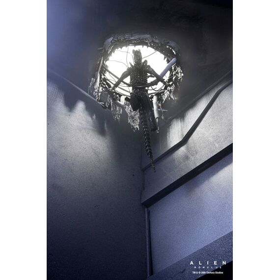 Figurka Obcy: Romulus - Deluxe Suspended Lab Xenomorph XX121- Zdjęcie 16