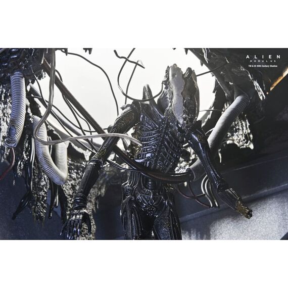Figurka Obcy: Romulus - Deluxe Suspended Lab Xenomorph XX121- Zdjęcie 24