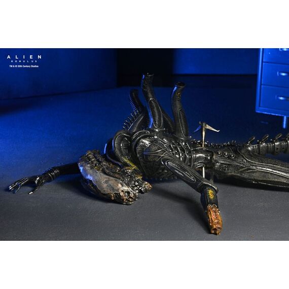 Figurka Obcy: Romulus - Deluxe Suspended Lab Xenomorph XX121- Zdjęcie 28