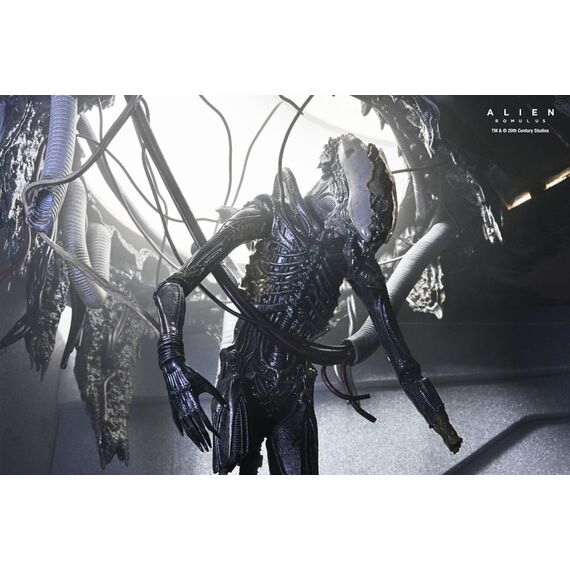 Figurka Obcy: Romulus - Deluxe Suspended Lab Xenomorph XX121- Zdjęcie 22