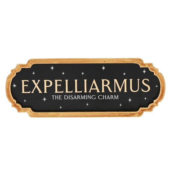 Dekoracja ścienna Harry Potter - Expelliarmus