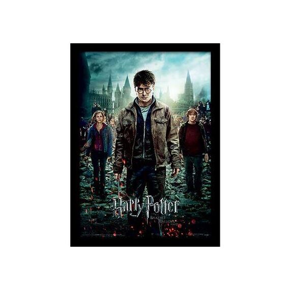 Plakat Harry Potter - Deathly Hollows Pt. 2 30x40cm