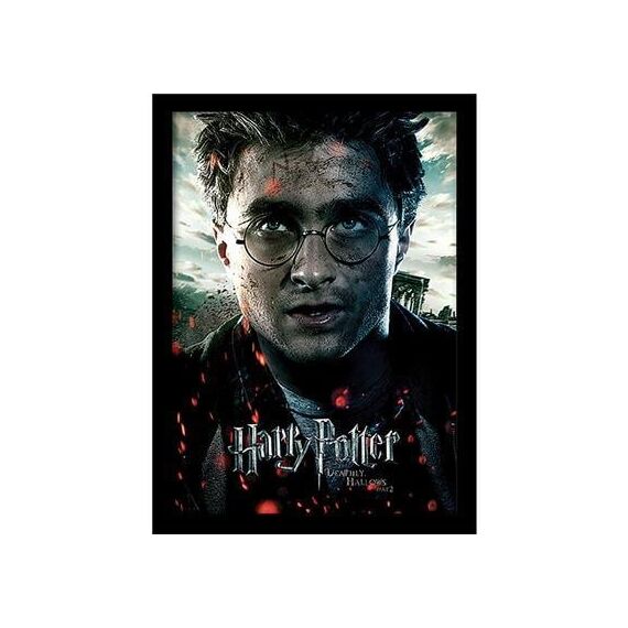 Plakat Harry Potter - Harry (Deathly Hollows) 30x40cm
