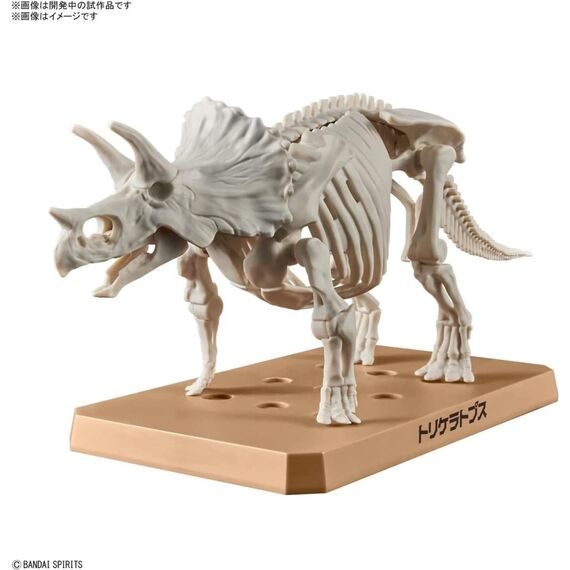 Model figurki Dinosaur - Triceratops (Tentative)- Zdjęcie 3