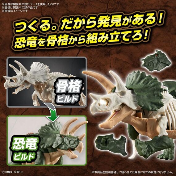 Model figurki Dinosaur - Triceratops (Tentative)- Zdjęcie 4