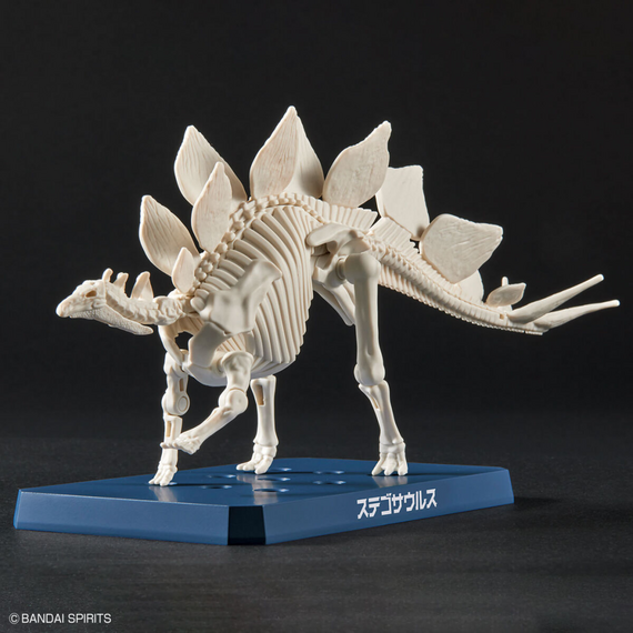 Model figurki Dinosaur - Stegosaurus (Tentative)- Zdjęcie 4