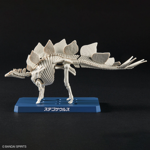 Model figurki Dinosaur - Stegosaurus (Tentative)- Zdjęcie 5