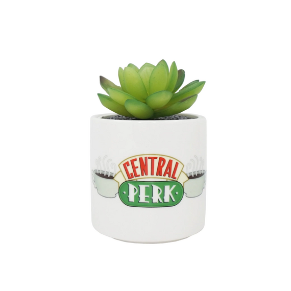 Sztuczny kwiat z doniczką Friends - Central Perk