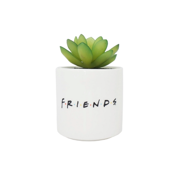 Sztuczny kwiat z doniczką Friends - Central Perk- Zdjęcie 2