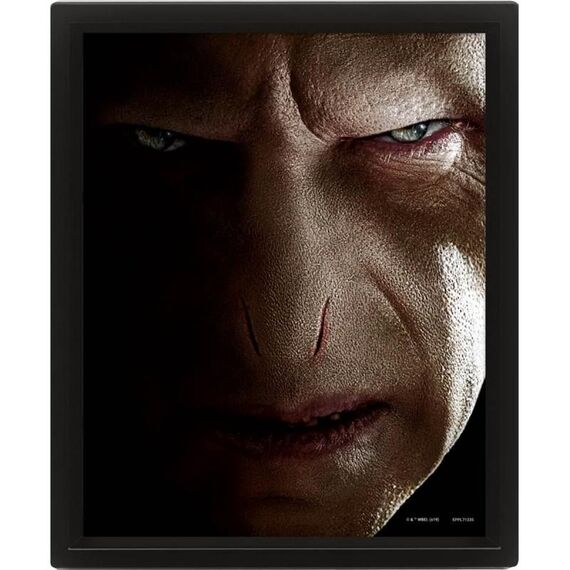 Plakat 3D Harry Potter - Harry vs Voldemort (26x20cm)- Zdjęcie 2