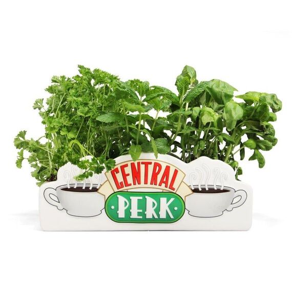 Doniczka Friends - Central Perk