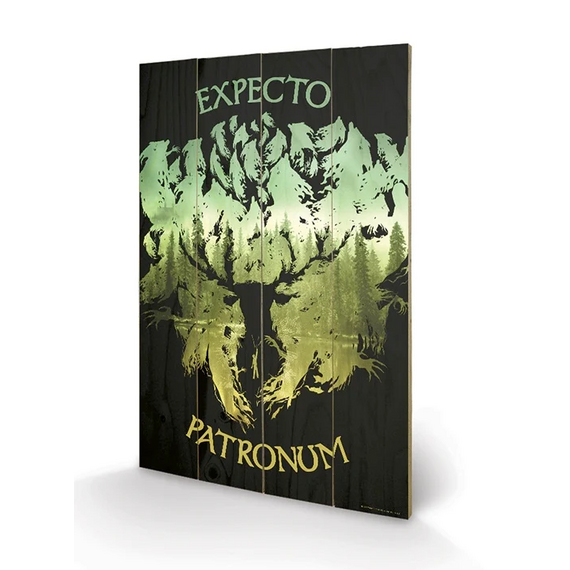 Ozdoba Harry Potter - Expecto Patronum 40x59