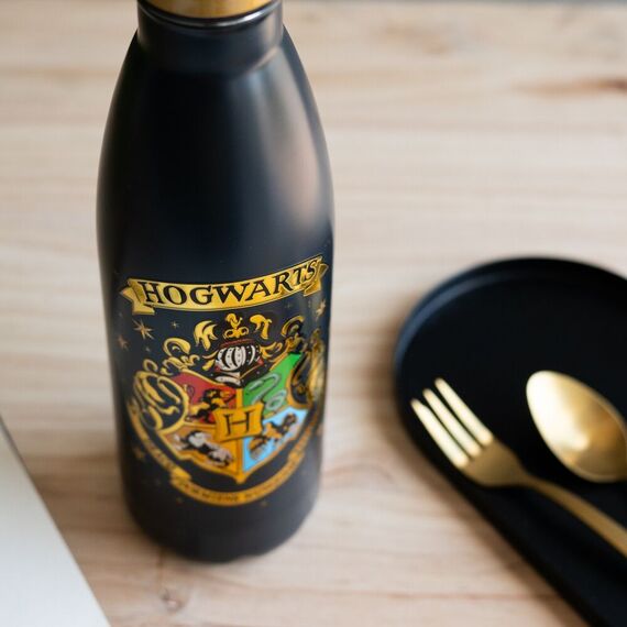 Butelka metalowa Harry Potter - Hogwart 500ml- Zdjęcie 6