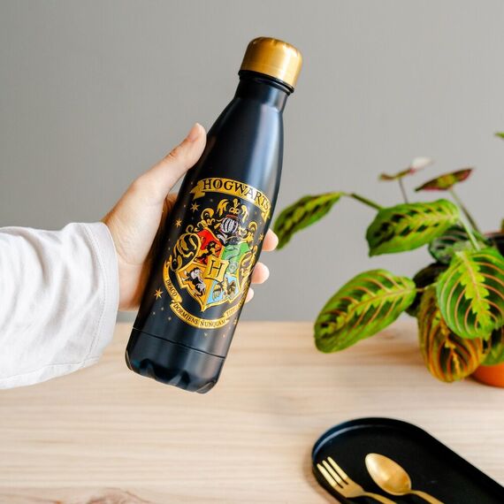Butelka metalowa Harry Potter - Hogwart 500ml- Zdjęcie 7