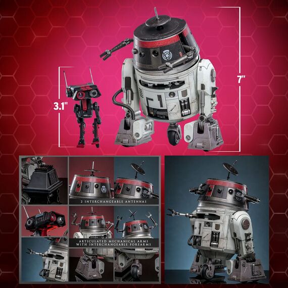 Zestaw figurek Star Wars Hot Toys Exclusive 1/6 - Chopper (C1-10P) & BD-1 (Imperial Disguise)- Zdjęcie 16