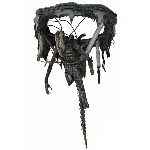 Figurka Obcy: Romulus - Deluxe Suspended Lab Xenomorph XX121- Zdjęcie 8