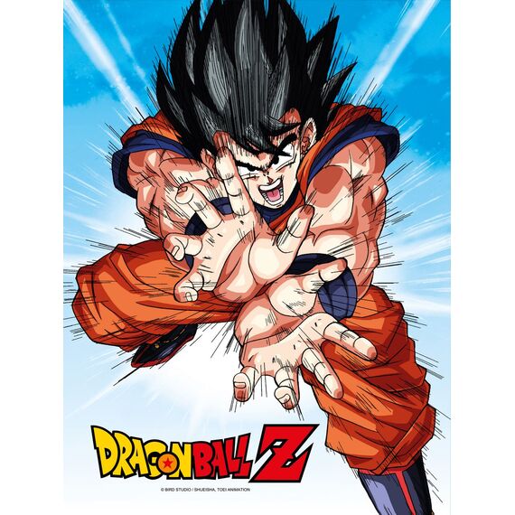 Szklany plakat Dragon Ball Z - Goku Kame 30 x 40 cm