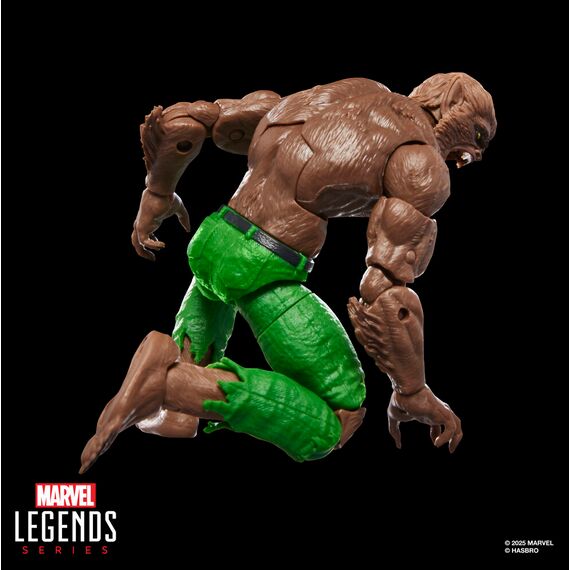 Figurka Marvel Legends - Werewolf by Night (BAF Executioner)- Zdjęcie 2