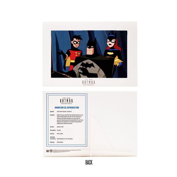 Figurka DC Direct (The New Batman Adventures) - Batman (Silver)- Zdjęcie 7