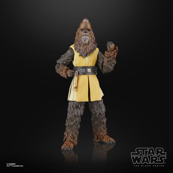 Figurka Star Wars: Akolita Black Series - Jedi Master Kelnacca- Zdjęcie 13