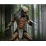 Figurka Predator: Prey - Ultimate Feral Predator- Zdjęcie 23