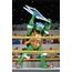 Zestaw 4 figurek Teenage Mutant Ninja Turtles (Archie Comics) - Stump Wrestling Turtles- Zdjęcie 10